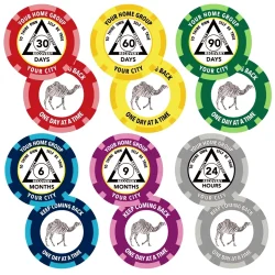 Custom AA Newcomer Chips