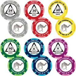 AA Newcomer Chips