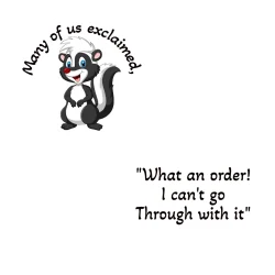 What an order, I can't go through with it - AA inspiration chip